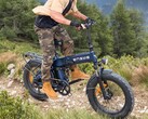 Engine Pro 3.0 Boost: En hopfällbar elcykel som även lämpar sig för terrängkörning. (Bildkälla: Engwe)