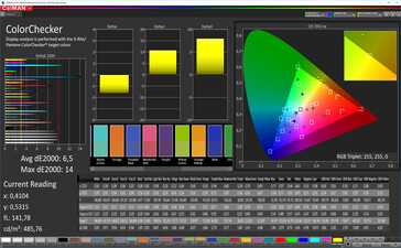 CalMAN: Färgprecision – sRGB-färgrymd som mål, standard-vitbalans