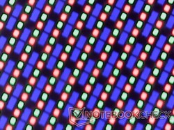 OLED subpixel-array. Kornigheten är svår att visa i kameran