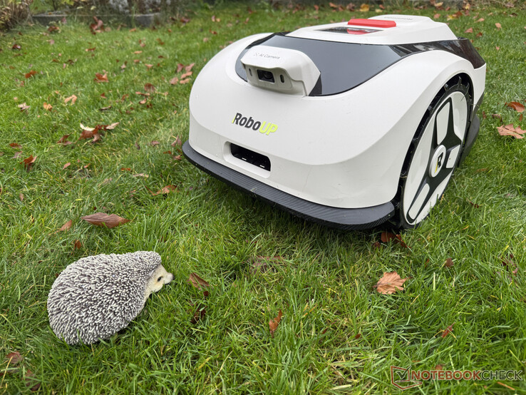 Raccoon 2 SE kände inte alltid igen vår igelkottdocka i testet