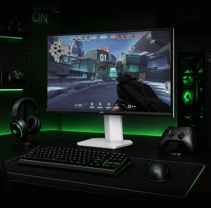 Thunderobot Q5AD YYDS Edition-monitor