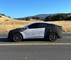 Model Y Performance 2026 i kamouflage för testmule. (Bildkälla: ConfidentImage4266/Reddit)