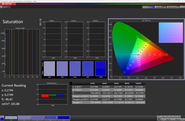 Mättnad (Färgläge: Normal, färgtemperatur: Standard, målfärgutrymme: sRGB)