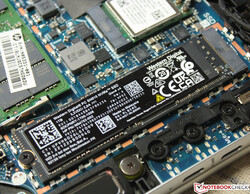 Western Digital NVMe SN810 1 Terrabyte