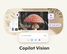 Microsoft Copilot Vision på Windows med Highlights gör det möjligt för Copilot AI att se och interagera med synlig information och appar. (Bildkälla: Microsoft)