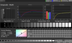 Gråskala (profil: Professional, målfärgrymd: sRGB)