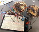 Två svampminnesceller fästes på ett Arduino UNO-utvecklingskort för mikrokontroller för testning. (Bildkälla: LaRocco, J. et al. via PLOS One)