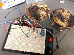 Två svampminnesceller fästes på ett Arduino UNO-utvecklingskort för mikrokontroller för testning. (Bildkälla: LaRocco, J. et al. via PLOS One)