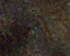 En sammansatt bild som visar en del av det interstellära mediet som röntgats för svavel (Bildkälla: DSS, DECaPS, eRosita och NASA; beskuren)
