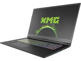 Test: Schenker XMG Pro 17 med RTX 3080 (Clevo PC70HS) - En strypt ultra-slim kombination av spellaptop och arbetsstation