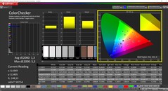 CalMAN ColorChecker (målfärgrymd P3)