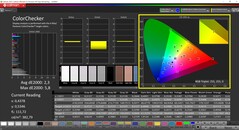 CalMAN ColorChecker (TrueColor-profil: Display-P3)