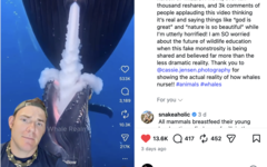 GatorChris förklarar i en video att valar inte vårdar på det sättet