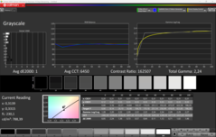 CalMAN gråskala kalibrerad