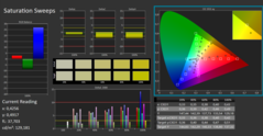 Calman ColorChecker mättnad