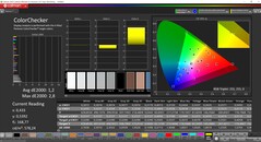 CalMAN ColorChecker (målfärgrymd P3)