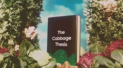 Cabbage branding kopplar ihop lekfull visuell identitet med smarta DeFi-verktyg (Bildkälla: Stader Labs)