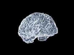 En konstnärlig bild av en hjärna (Bildkälla: Shawn Day via Unsplash; redigerad)