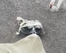 Neo 2 kan vara en av flera konsumentdrönare som DJI släpper i år. (Bildkälla: Igor Bogdanov - redigerad)