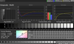 CalMAN Grayscale – Intern skärm