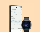 Fitbit har designat om sidorna för hälsomått i sin app. (Bildkälla: Fitbit)