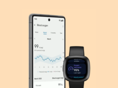 Fitbit har designat om sidorna för hälsomått i sin app. (Bildkälla: Fitbit)