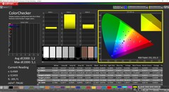 CalMAN ColorChecker (profil: Native, målfärgrymd: P3)