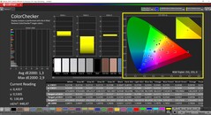CalMAN ColorChecker (profil: P3, målfärgrymd: P3)