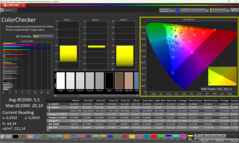 Calman ColorChecker före kalibrering