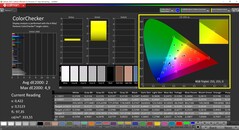 CalMAN ColorChecker (Schenker-profil)