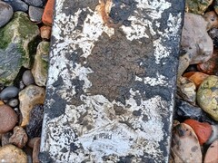 Efter att ha varit nedsänkt i floden Themsen i fem år kunde en iPad Mini hjälpa polisen att lösa en sex år lång utredning. (Bildkälla: Met Police via BBC)