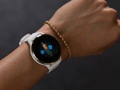 Uppdateringen Garmin betaversion 14.07 är tillgänglig för Venu 3 smartklockor. (Bildkälla: Garmin)