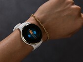 Uppdateringen Garmin betaversion 14.07 är tillgänglig för Venu 3 smartklockor. (Bildkälla: Garmin)