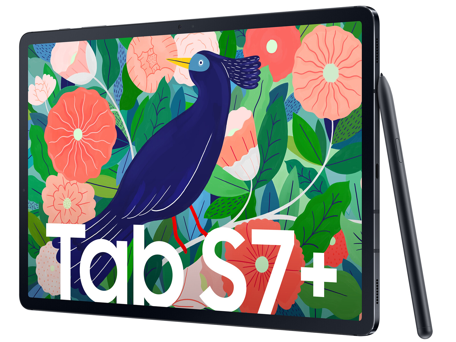 Samsung Galaxy Tab S7 Plus - Notebookcheck.se