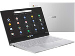 Asus Chromebook C425TA-DH384