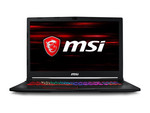 MSI GE73-008 8RF Raider RGB